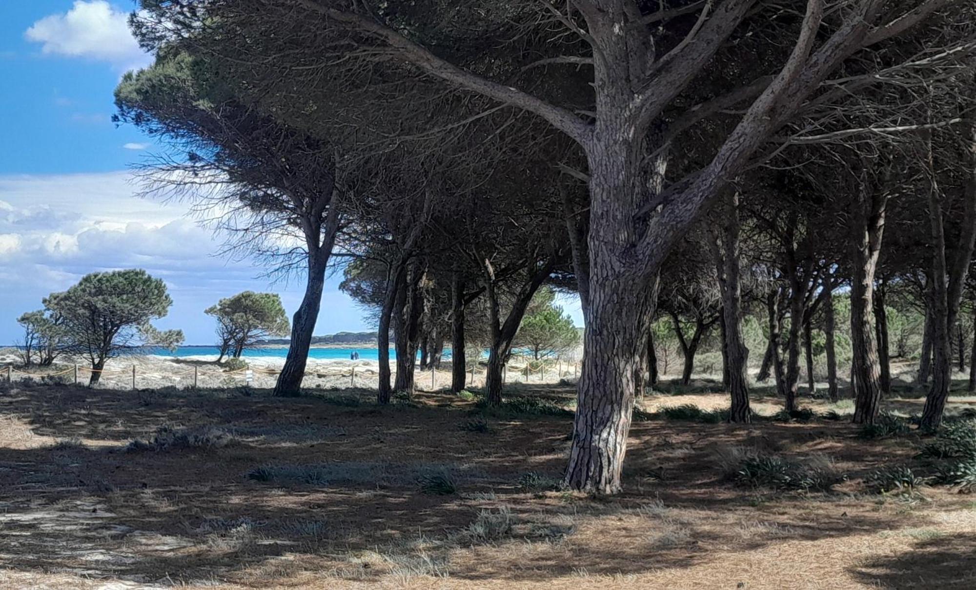 Resort Abbaia Ba ブドーニ エクステリア 写真